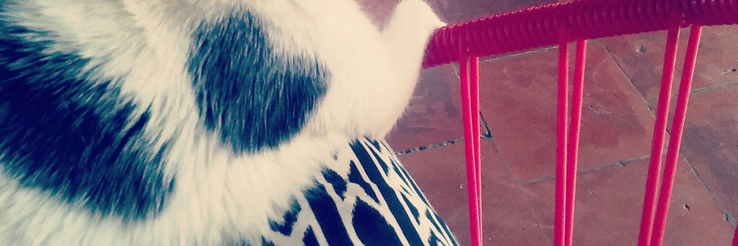 almali212's profile banner image