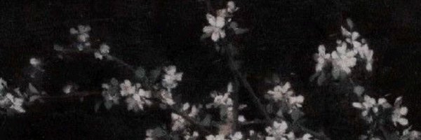 spoiledkaylee Profile Banner