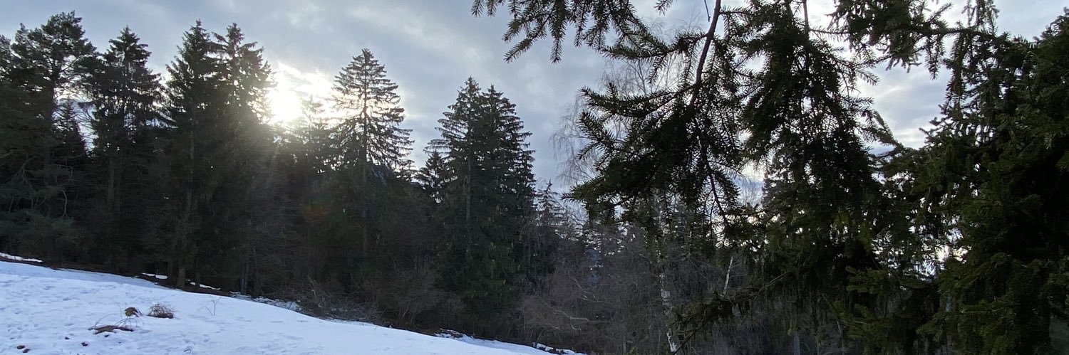 Giuliano Castigliego banner