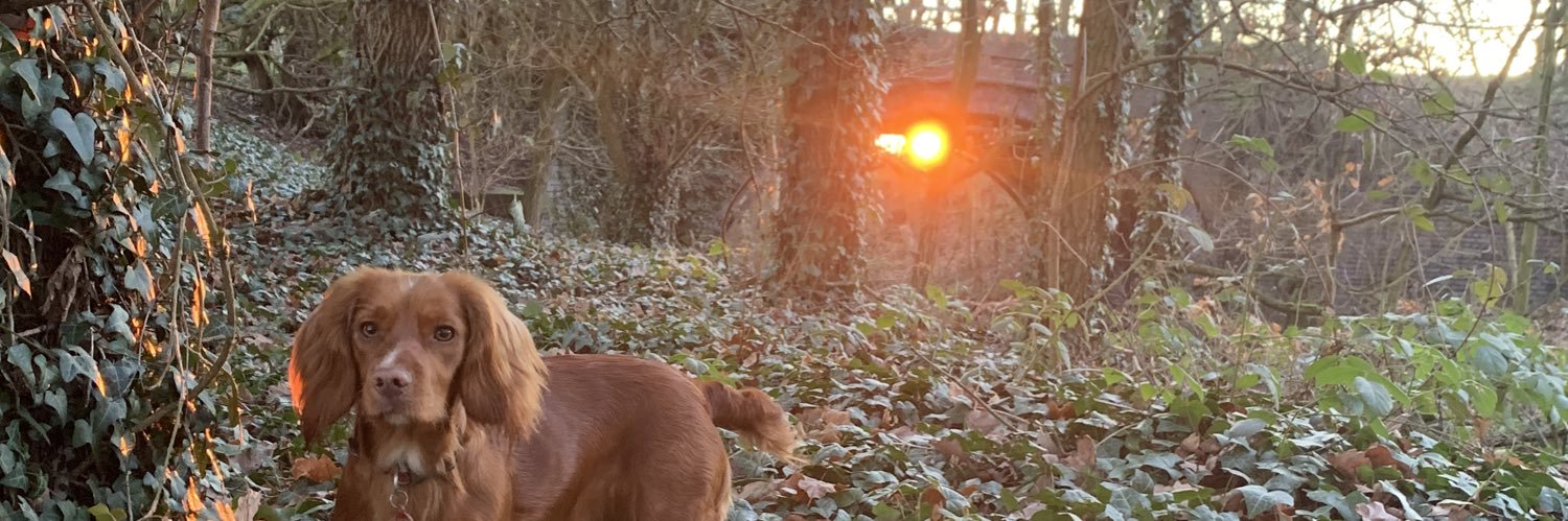 Mick_Yorkshire's profile banner image