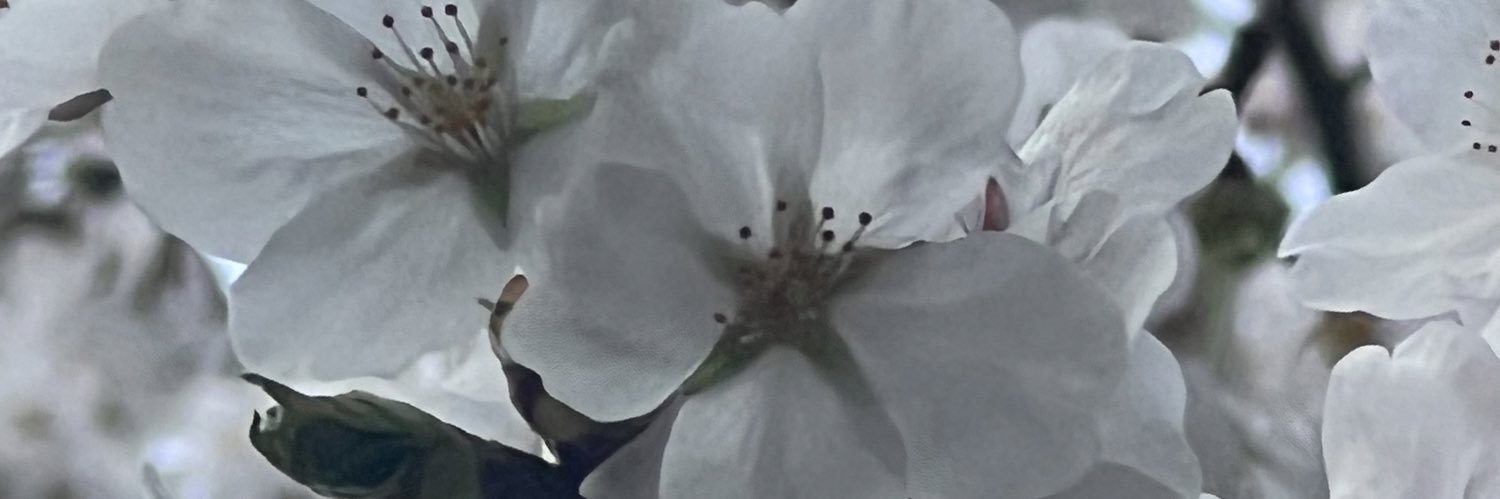 ecofreshtodeath's profile banner image