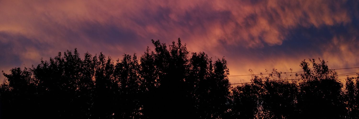 GimeRaamos's profile banner image