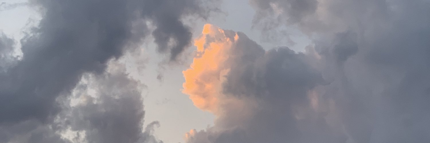 ribeiroug's profile banner image