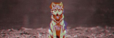 tommaxted's profile banner image