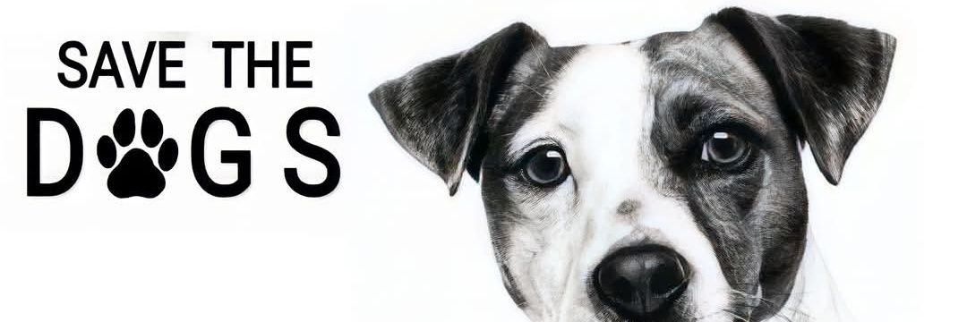 papadog's banner
