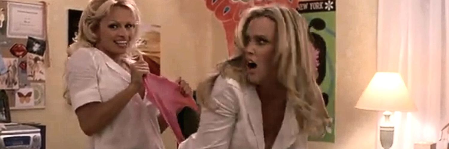 The Wonderful World Of Wedgies banner