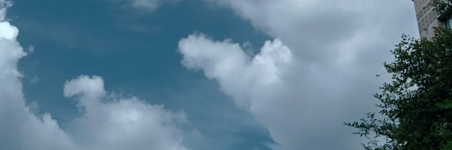 Jui_Twilight's profile banner image