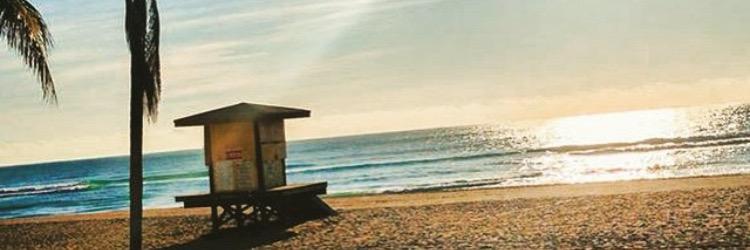 Loren Livick banner