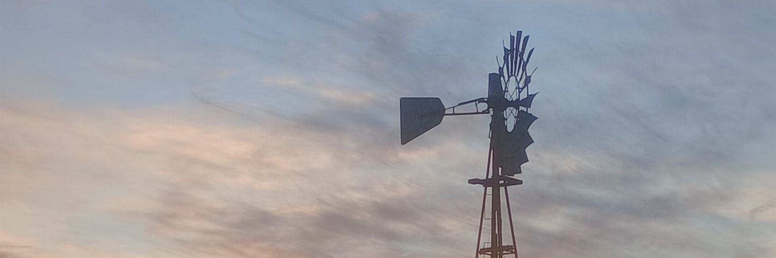 El taquión lento 🇦🇷🇷🇺 banner