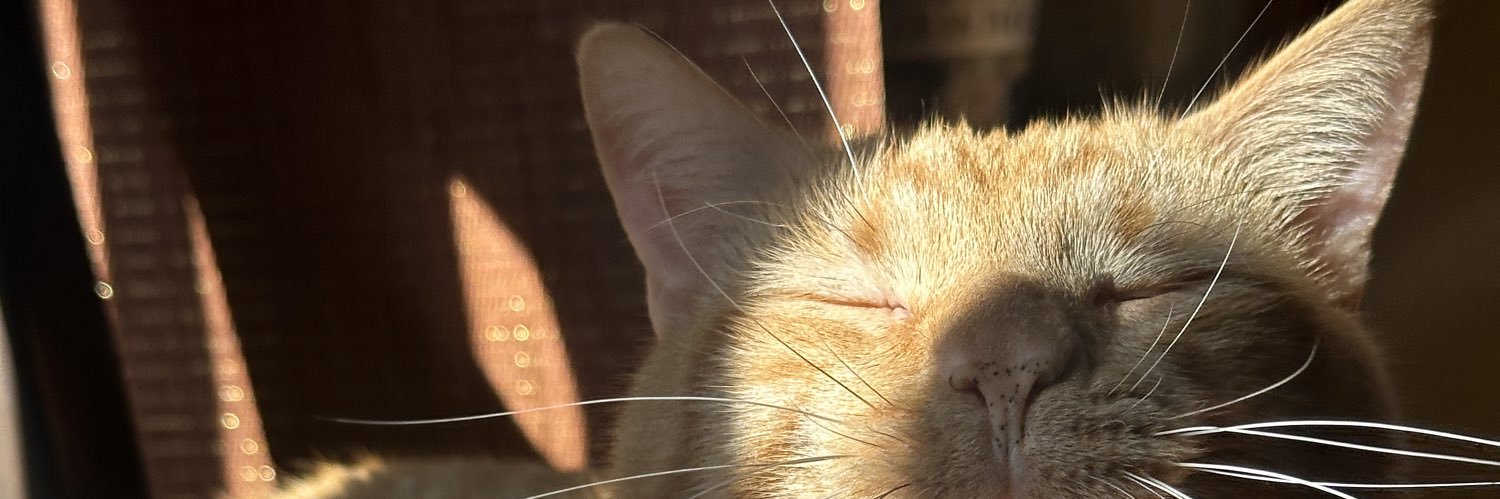 Ferrrnanda____'s profile banner image
