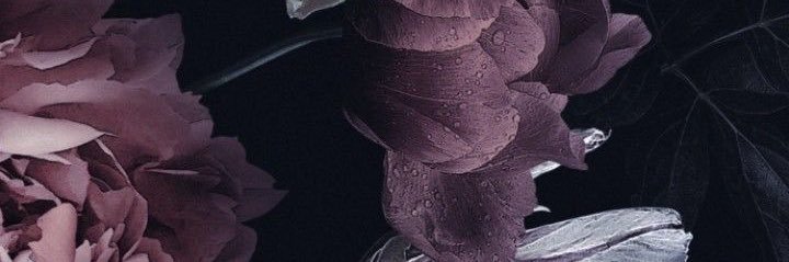 生牡蠣乙女 banner