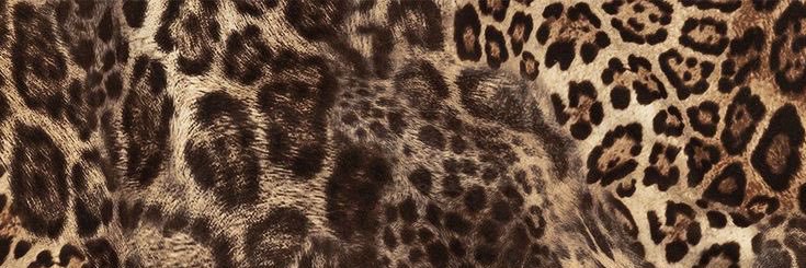 َ banner