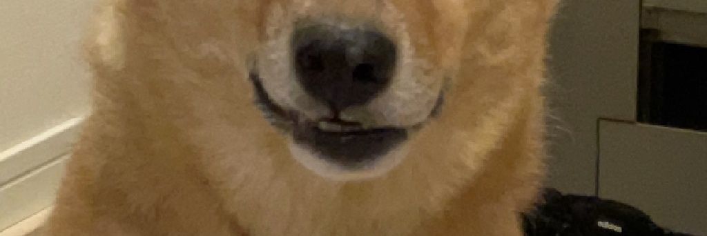 mattun4747's profile banner image