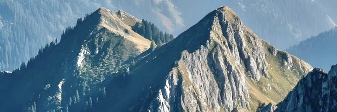 Sur. banner