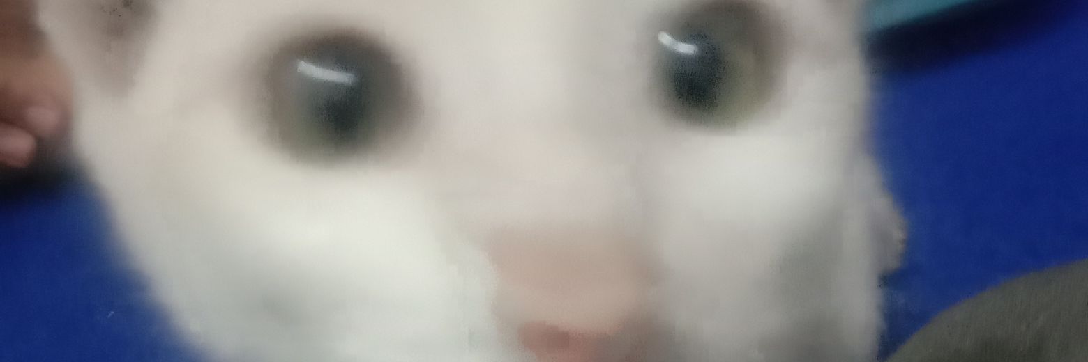 liiaa banner