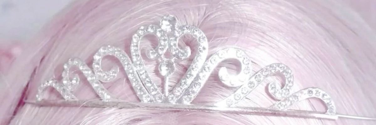 princess ໒꒰ྀི ˶• ༝ •˶ ྀི১ banner