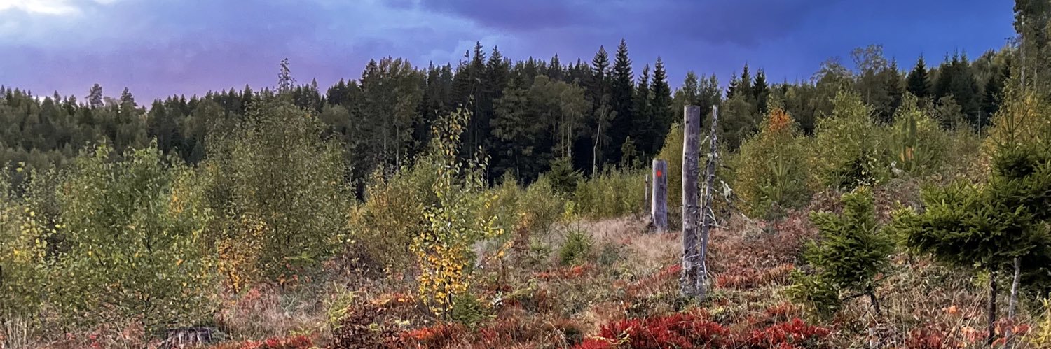 HannaVictoria Mörck 🇸🇪🇺🇦 🏹🍎 banner