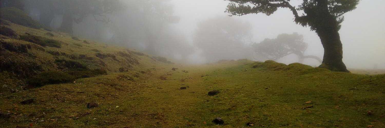 مدثر حماد banner