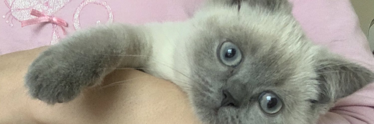 naciyebadem's profile banner image