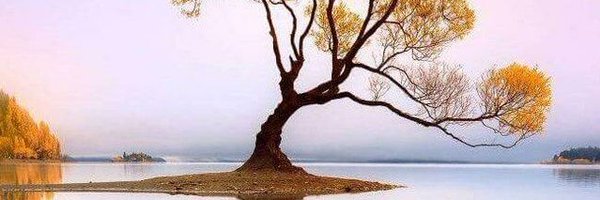 meysam52s24 Profile Banner