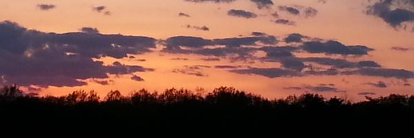 cjtorom Profile Banner