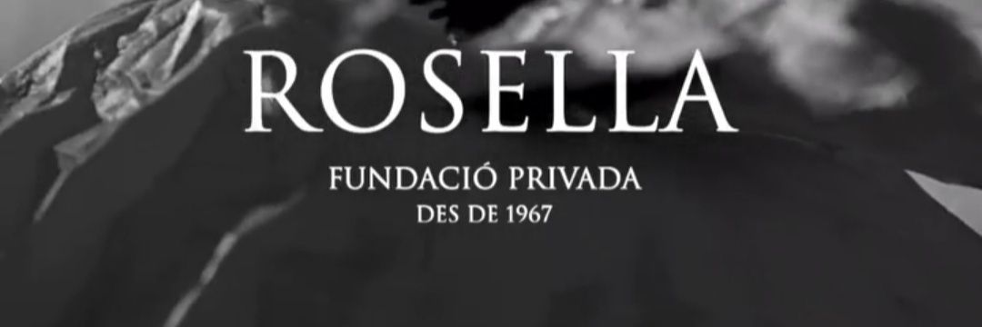 FPRosella's profile banner image