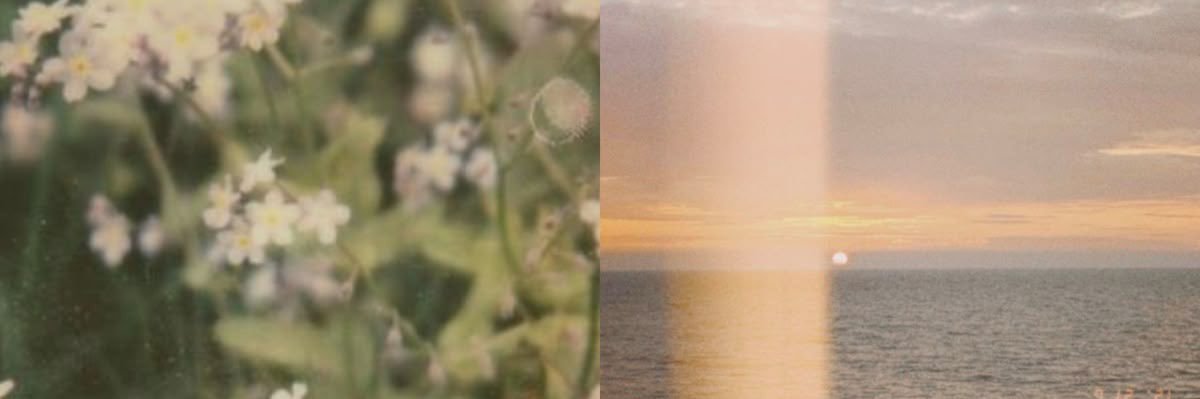 sol ☼'s banner