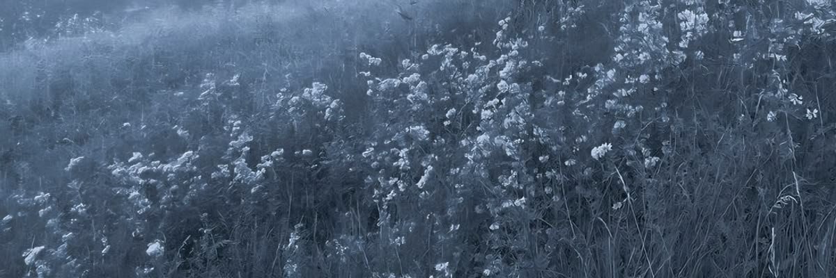 brokechud67's profile banner image