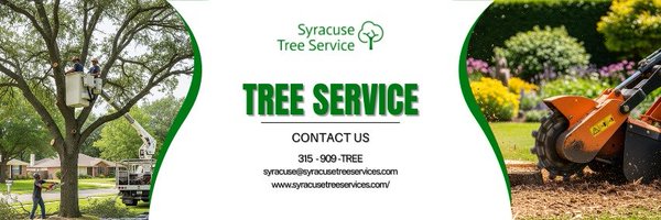 Syracuse_Tree Profile Banner