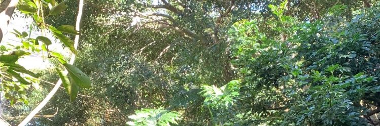 all things jxsn banner