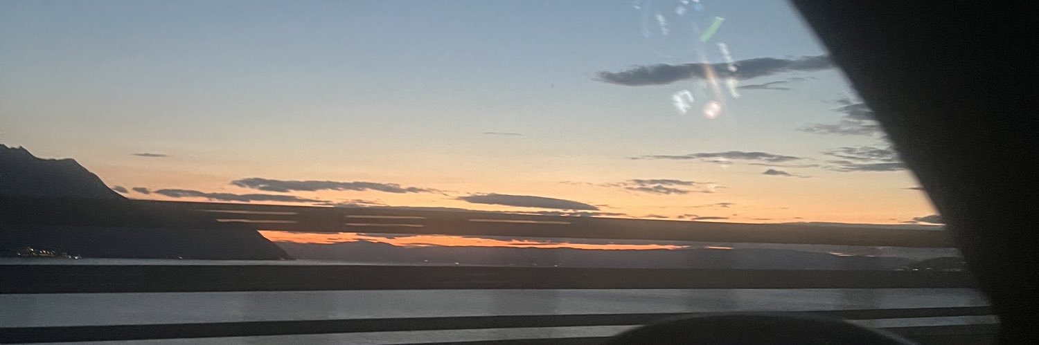 Pinkpanthere55's profile banner image
