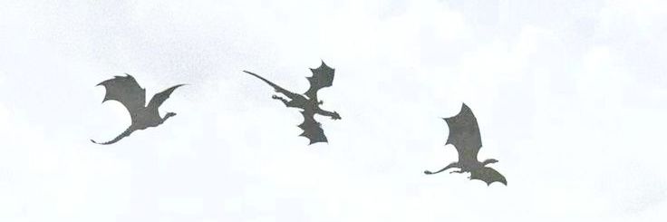yoghurtexic's profile banner image