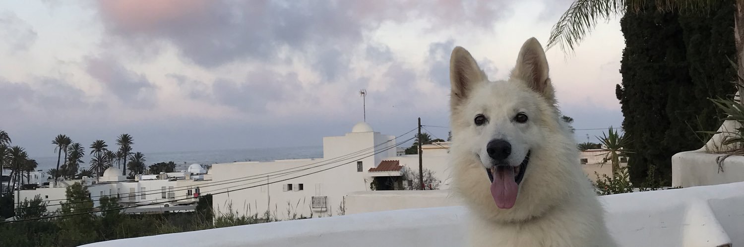 karcascales's profile banner image