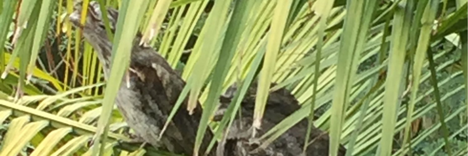 CountryRegional's profile banner image