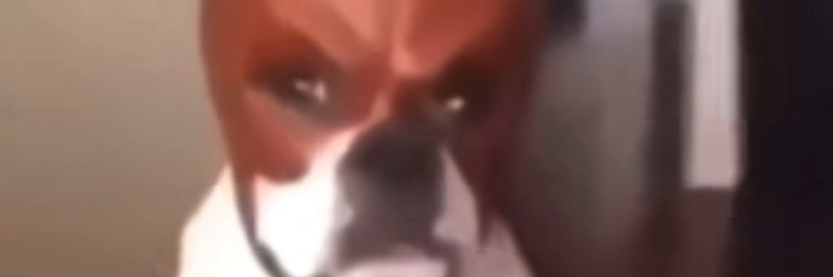 AntnyBeans's profile banner image