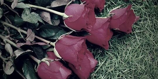 RakaDenan's profile banner image
