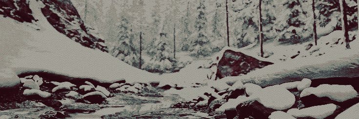 * ︎ ︎ ︎ 𝐟𝐮͟𝐜͟𝐤 ︎ ︎ 𝔂𝐨𝐮. banner