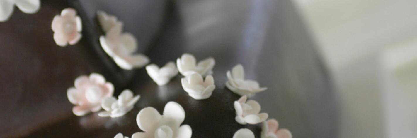 Little Wedding Guide banner