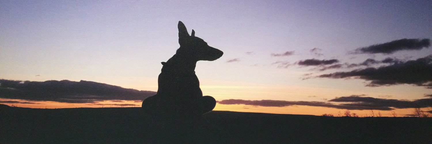 katiebambrough's profile banner image