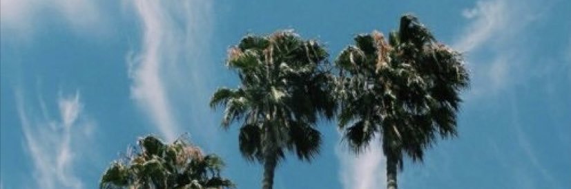 anapimienta's profile banner image