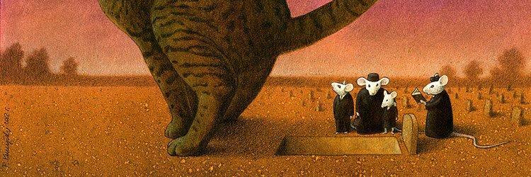 cajuinaz's profile banner image