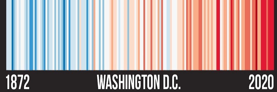 Matt Malinowski banner