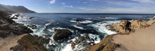 B_palms Profile Banner