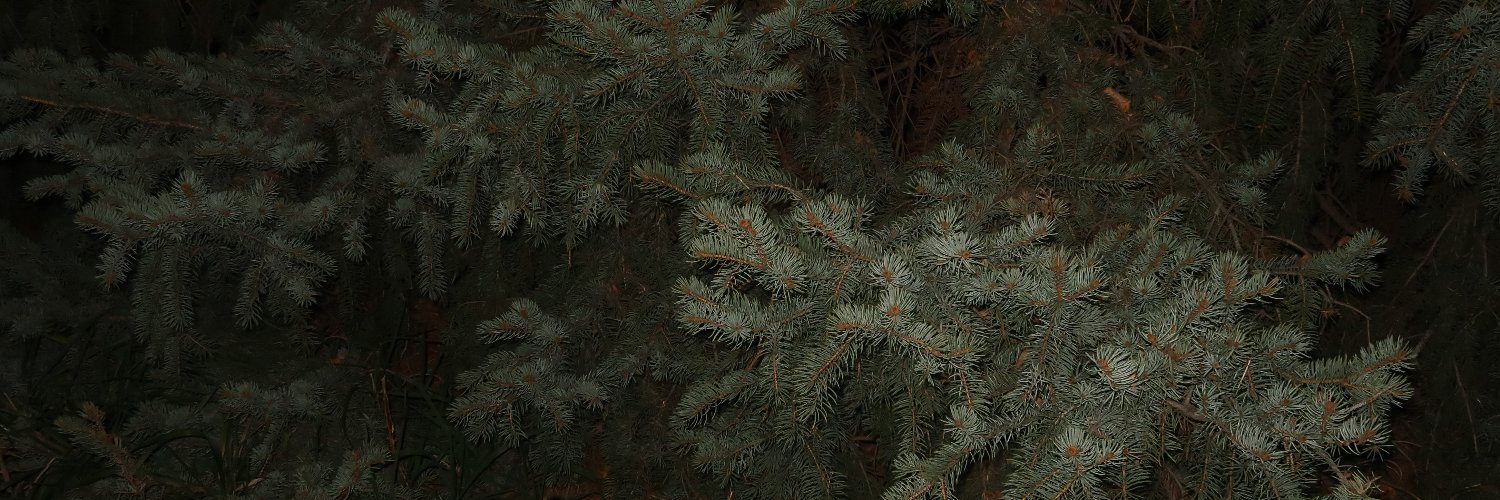 ᴛᴇᴍᴘʟᴏ banner