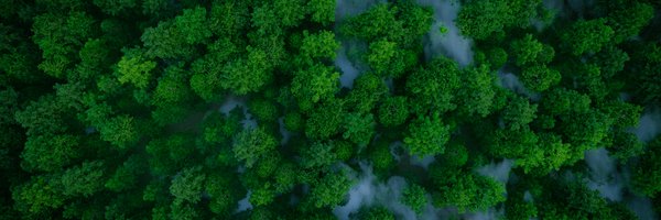 greentpay Profile Banner