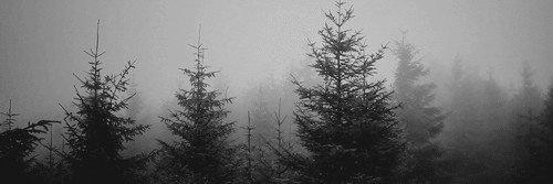 kkatratk's profile banner image