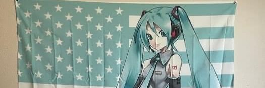miku banner