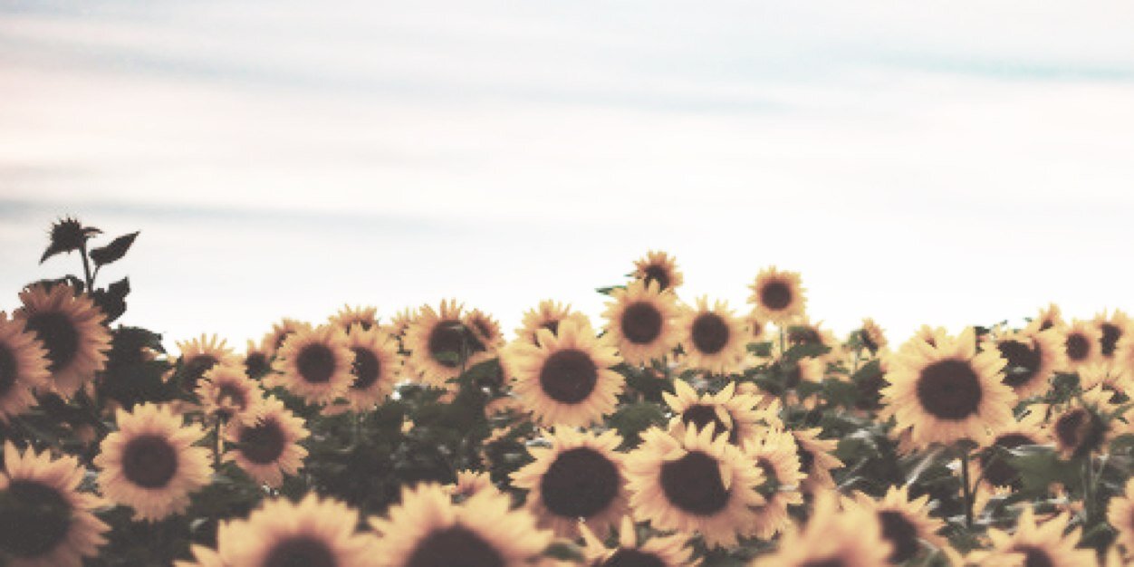 bukanseohyns's profile banner image
