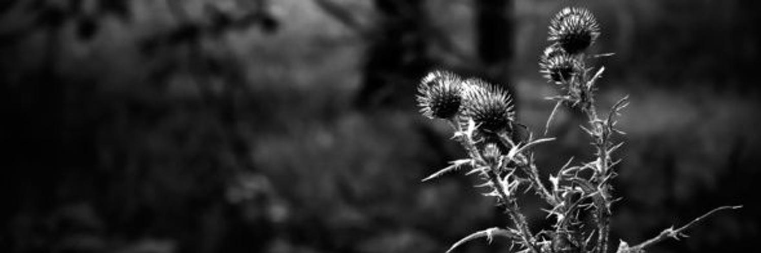 _AntiDEMON_'s profile banner image
