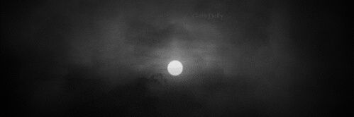 Fabiola_Moreno9's profile banner image